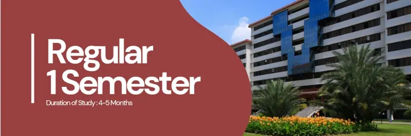 half-year intensive program